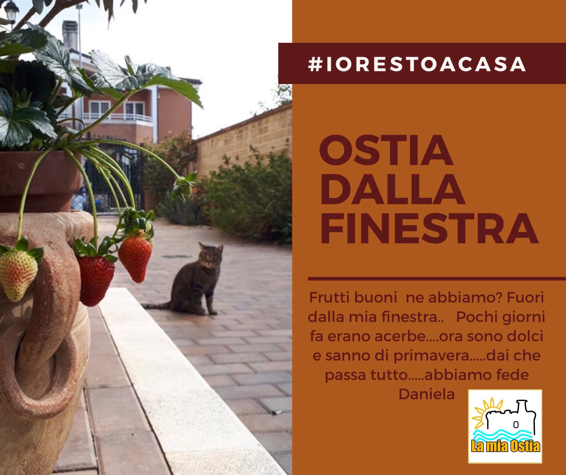 Ostia dalla finestra: mese di marzo